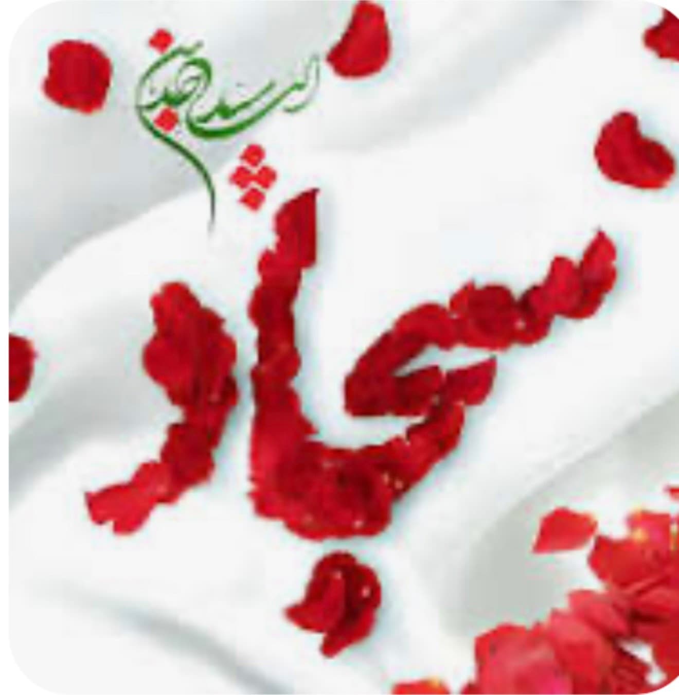 میلاد امام سجاد (ع)