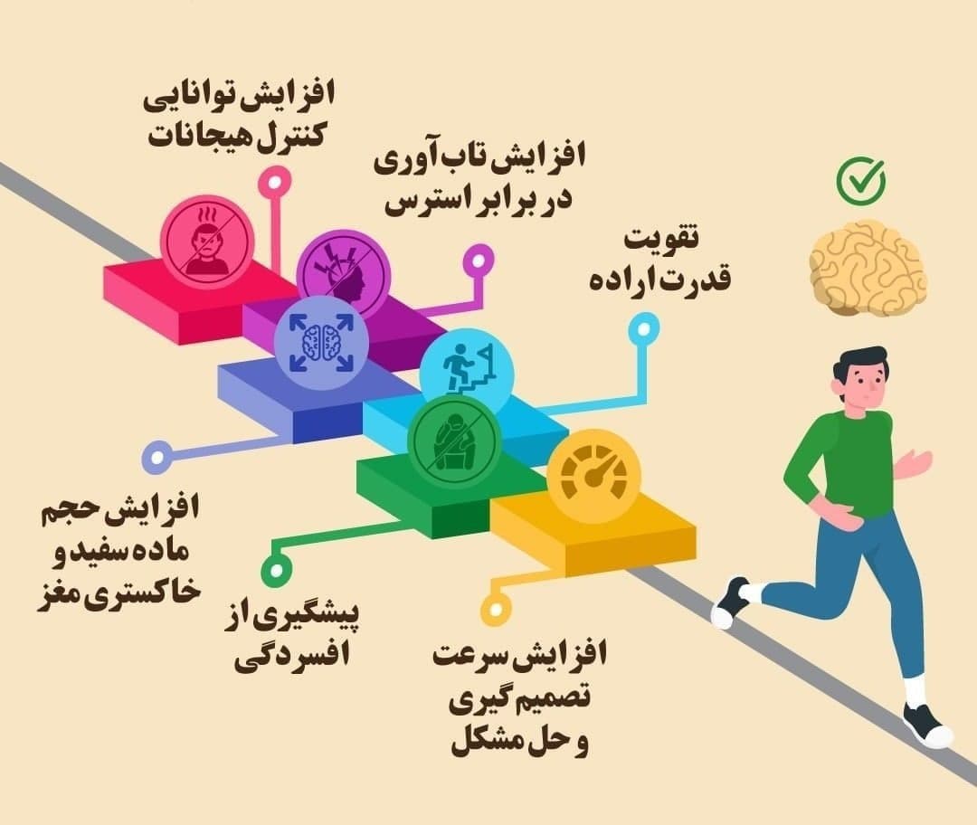 🔺تاثیر یکساعت ورزش روزانه بر عملکرد مغز
