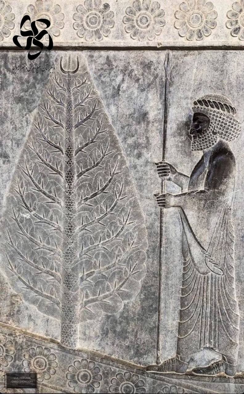 پلکان آپادانا، پارسه