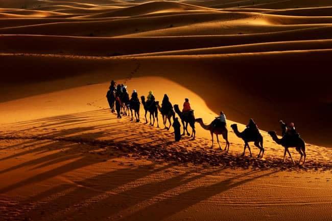 فرا رسیدن اربعین سیدو سالار شهیدان، آبی عبدالله الحسین (ع) و یاران با وفایش برشما سروران تسلیت باد.